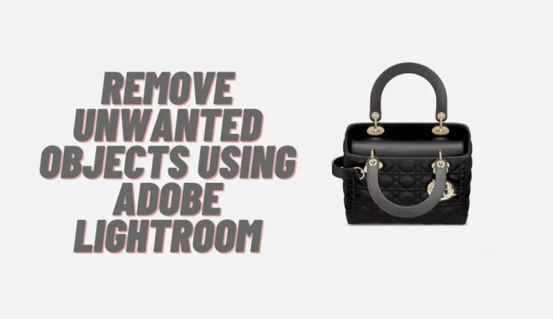 Lightroom remove background- Remove unwanted objects using Adobe Lightroom