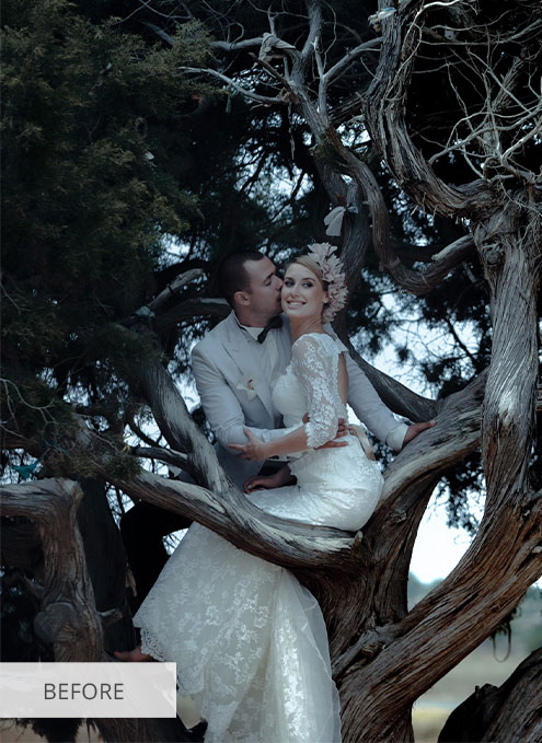Background Enhancement, Wedding Photo Editing